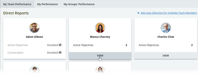 Screenshot: Selecting a Team Member from the manager dashboard