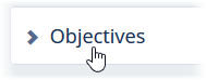 Screenshot: Objective section label in Performance Overview