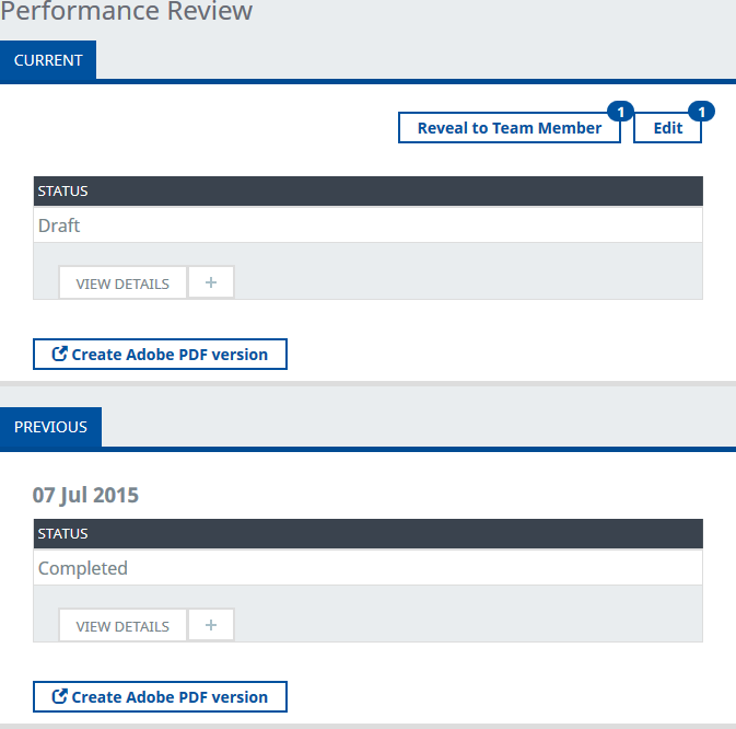 Screenshot: Performance Review detail view