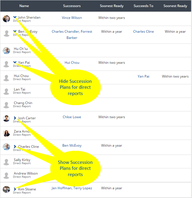 Annotated screenshot: Succession Plan for a team