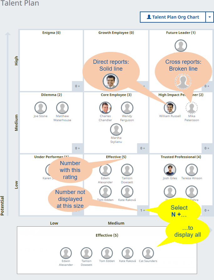 Annotated screenshot: Talent Plan 9 Box Grid view for a team
