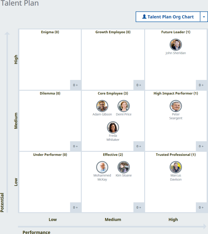 Screenshot: Talent Plan 9 Box Grid View