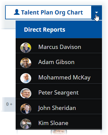 Screenshot: Selecting a direct report in the Talent Plan view