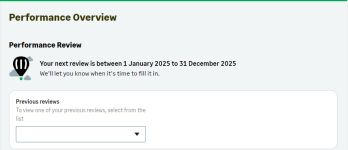 Screenshot: A team member's Performance Overview when the latest review is completed and a new review is not yet available