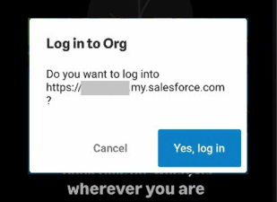 Screenshot: log in to org