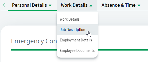 Screenshot: Job Description process selected from the team member profile