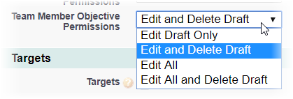Team Member Objective Permissions picklist on the Policy page