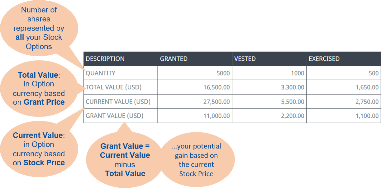 Annotated screenshot: Summary table for stock options