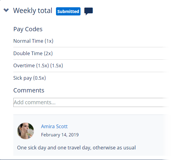 Screenshot: Team Member's comment on a submitted timesheet